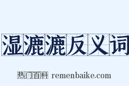 湿漉漉反义词是什么意思的图片